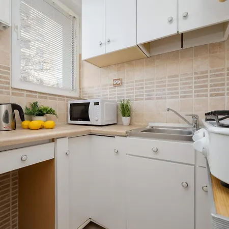 Cozy Anielewicza Wola By Renters Apartment